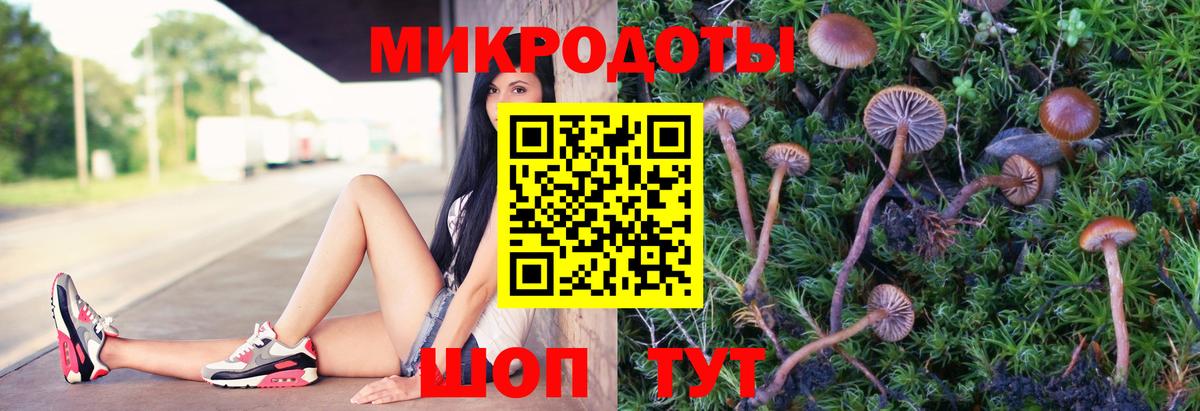 Галлюциногенные грибы мухоморы  Вход с VPN  Клин 